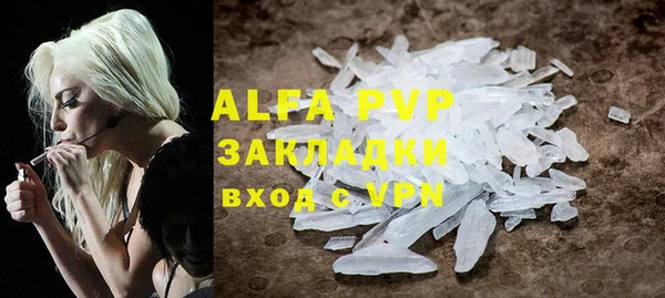 индика Богородицк