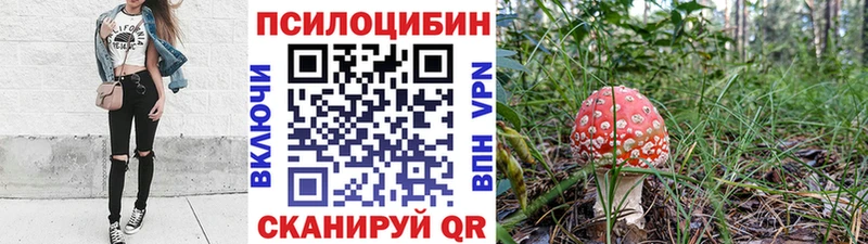 маркетплейс состав  Новое Девяткино  Галлюциногенные грибы GOLDEN TEACHER  купить  